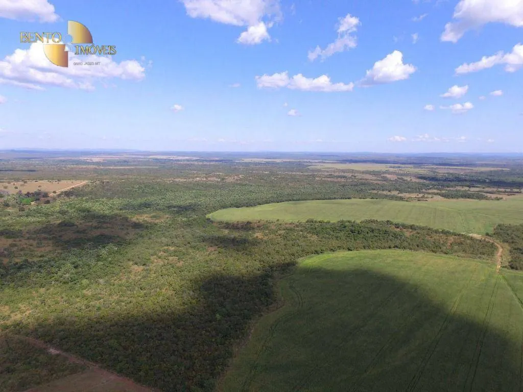 Fazenda à venda de 440 ha em Nobres, MT, Brasil