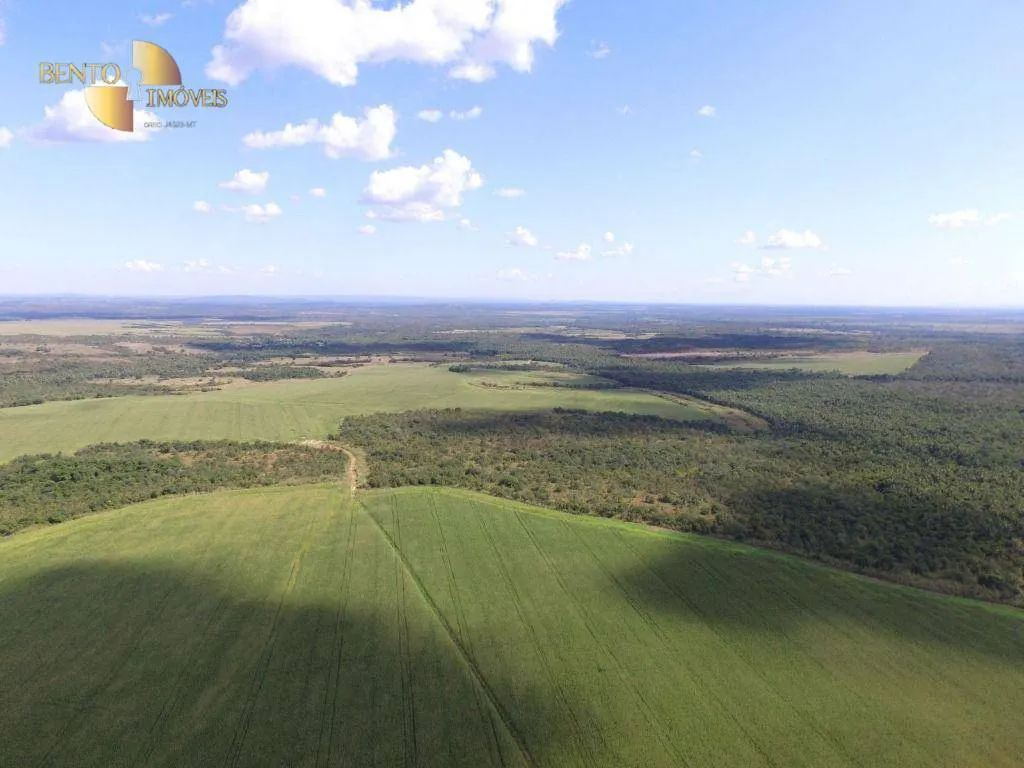Fazenda à venda de 440 ha em Nobres, MT, Brasil