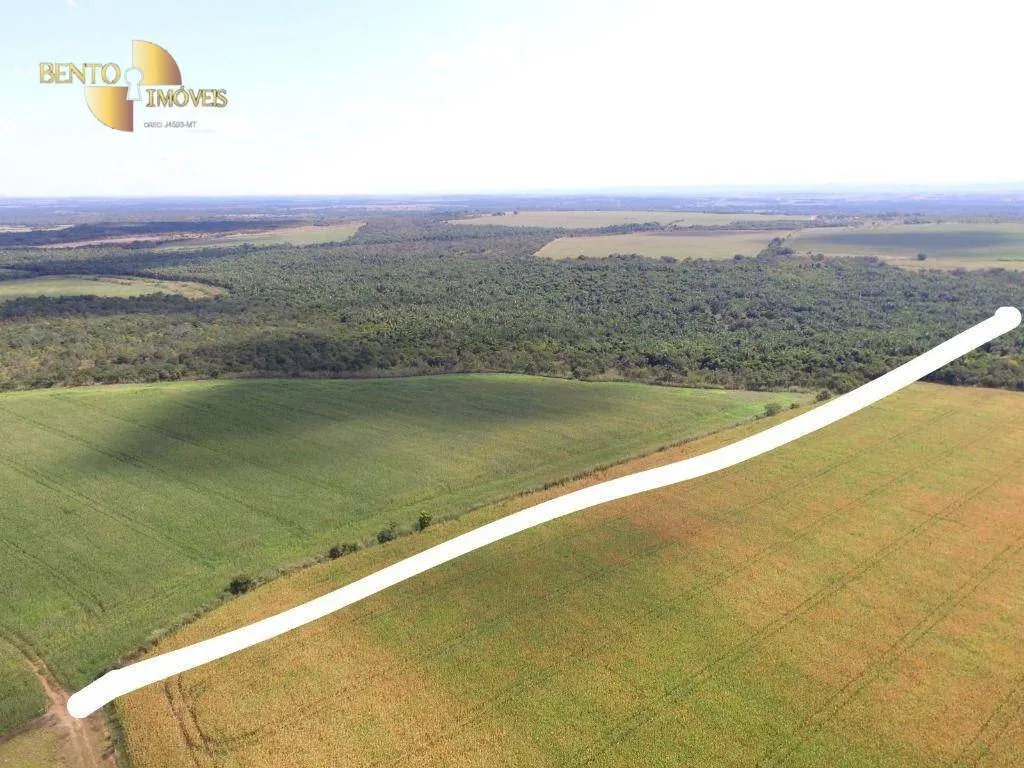 Fazenda à venda de 440 ha em Nobres, MT, Brasil