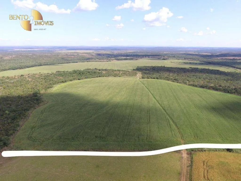 Fazenda à venda de 440 ha em Nobres, MT, Brasil