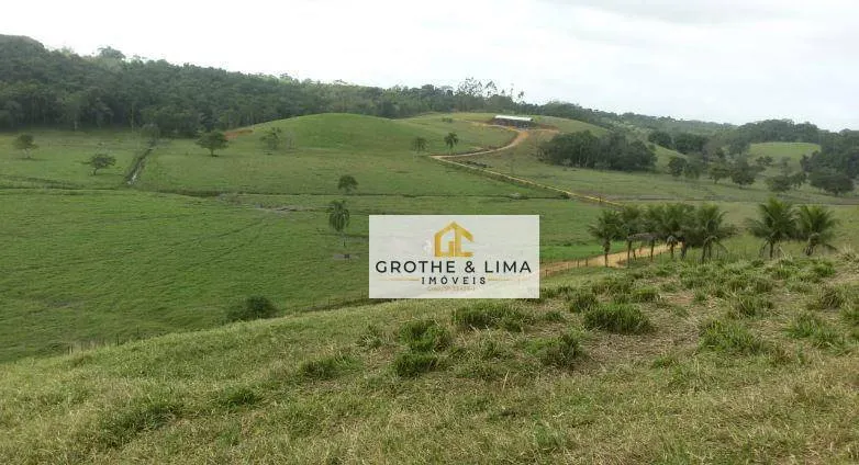 Fazenda à venda de 424 ha em Registro, SP, Brasil