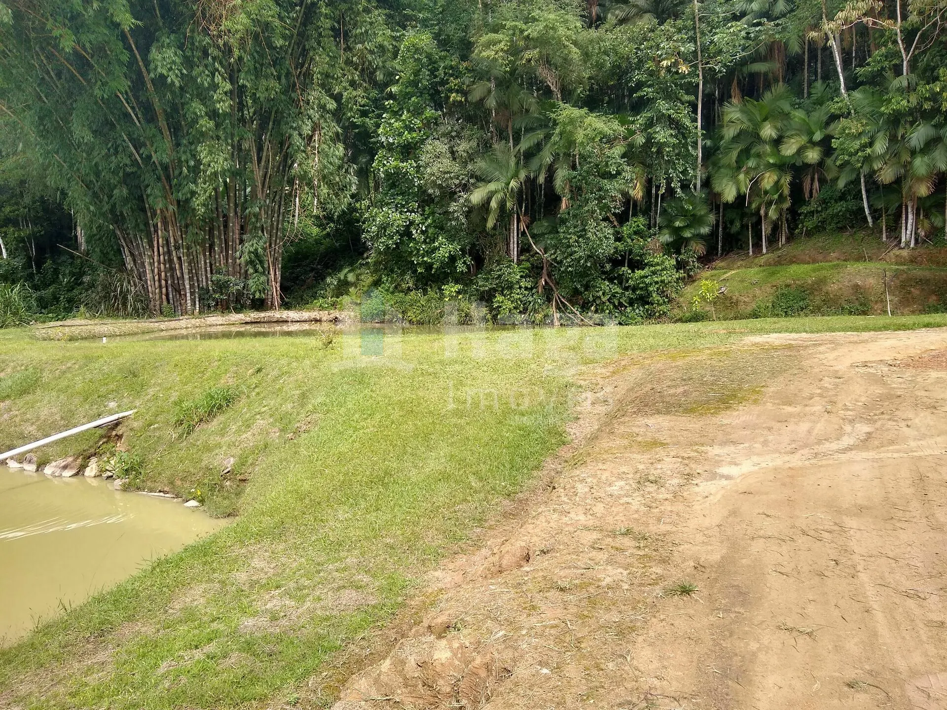 Country home for sale of 5 acres in Rio dos Cedros, SC, Brazil