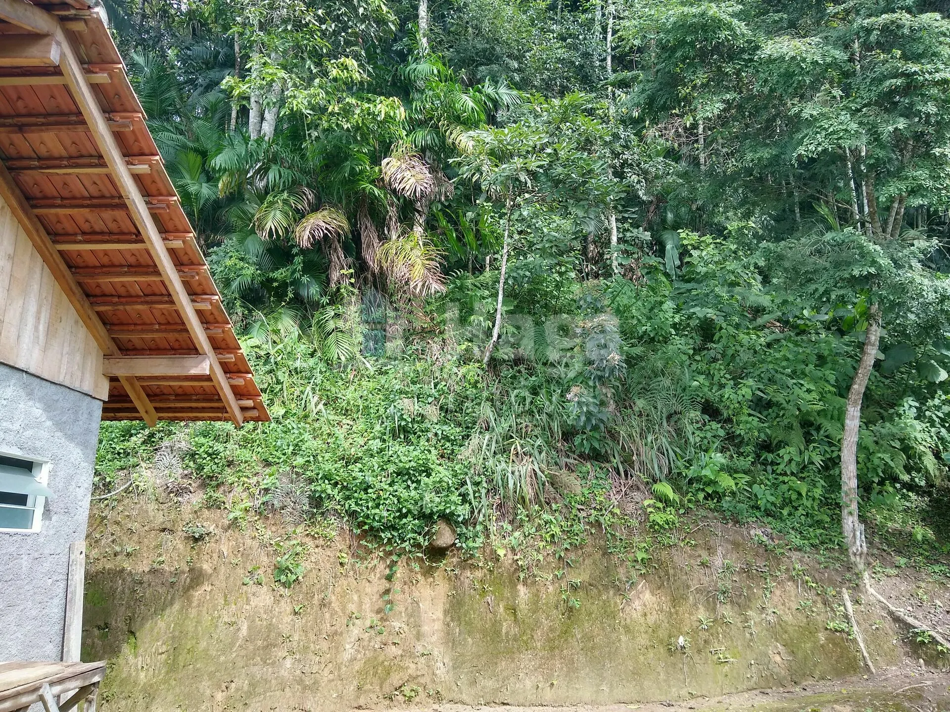 Country home for sale of 5 acres in Rio dos Cedros, SC, Brazil