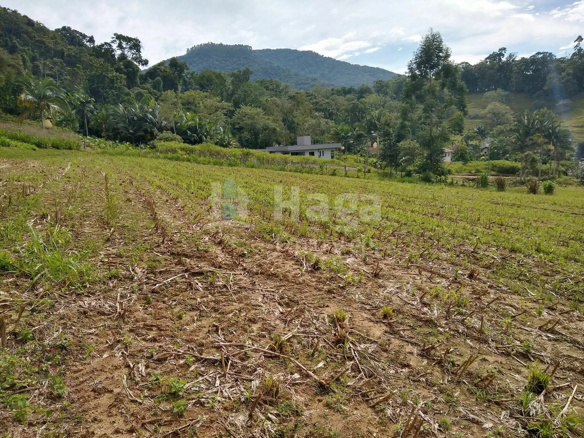 Country home for sale of 5 acres in Rio dos Cedros, SC, Brazil