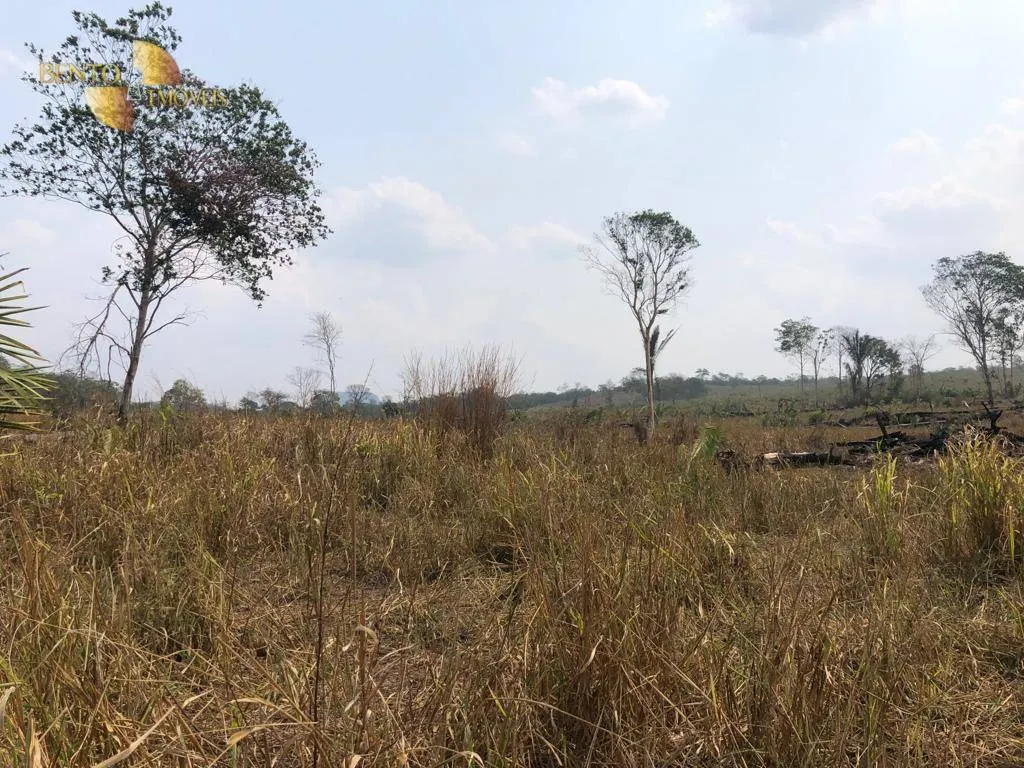 Fazenda à venda de 221 ha em Poxoréu, MT, Brasil