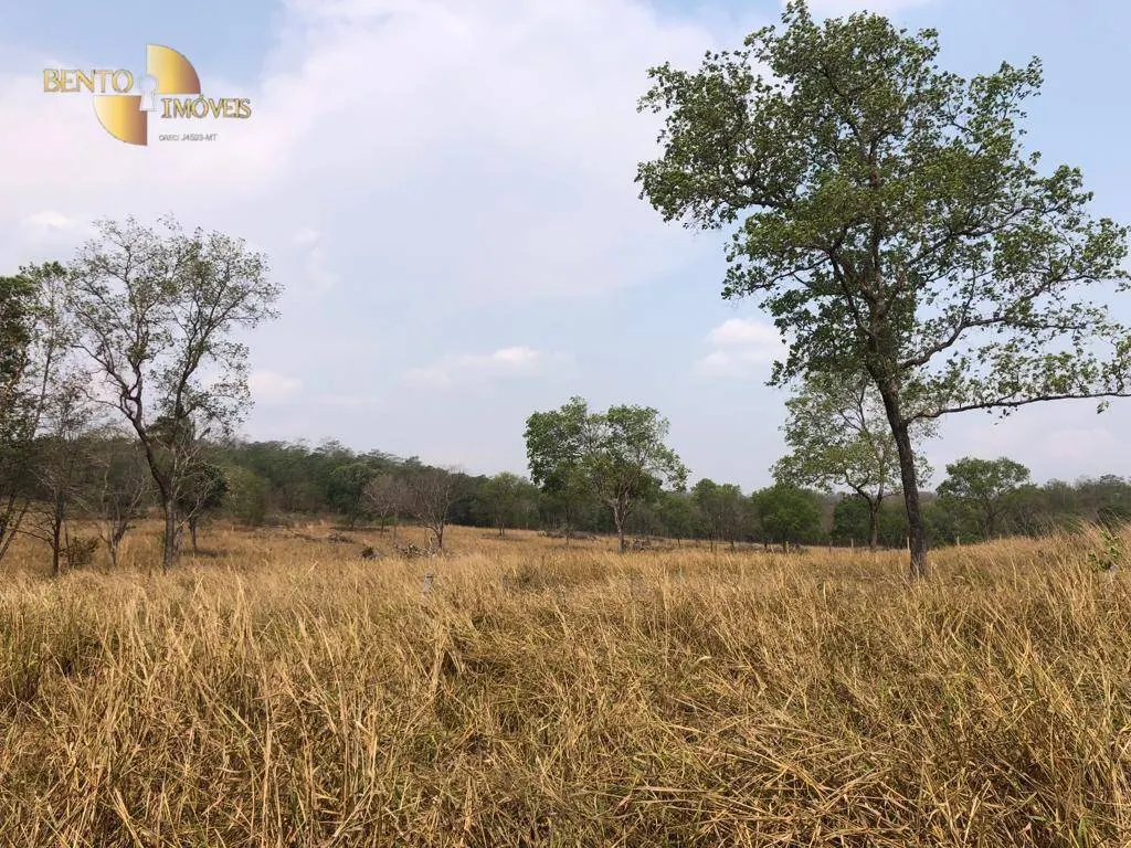 Fazenda à venda de 221 ha em Poxoréu, MT, Brasil