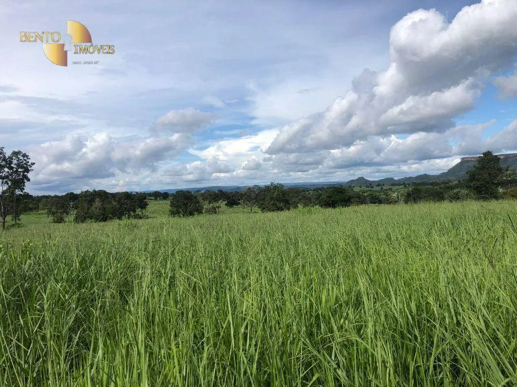 Fazenda à venda de 221 ha em Poxoréu, MT, Brasil