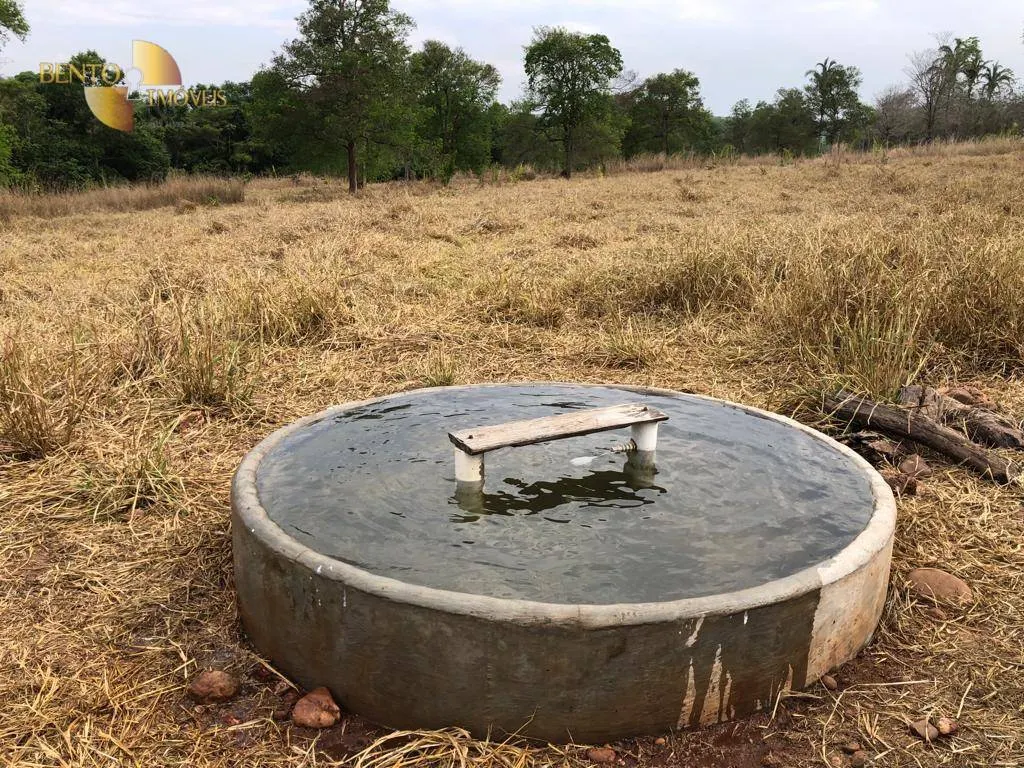 Fazenda à venda de 221 ha em Poxoréu, MT, Brasil