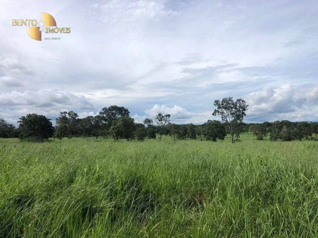 Fazenda à venda de 221 ha em Poxoréu, MT, Brasil