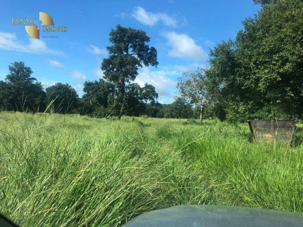 Fazenda à venda de 221 ha em Poxoréu, MT, Brasil