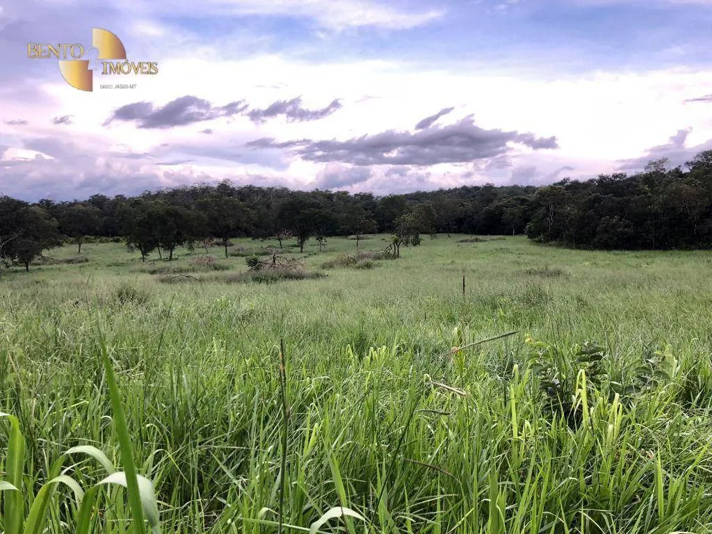 Fazenda à venda de 221 ha em Poxoréu, MT, Brasil