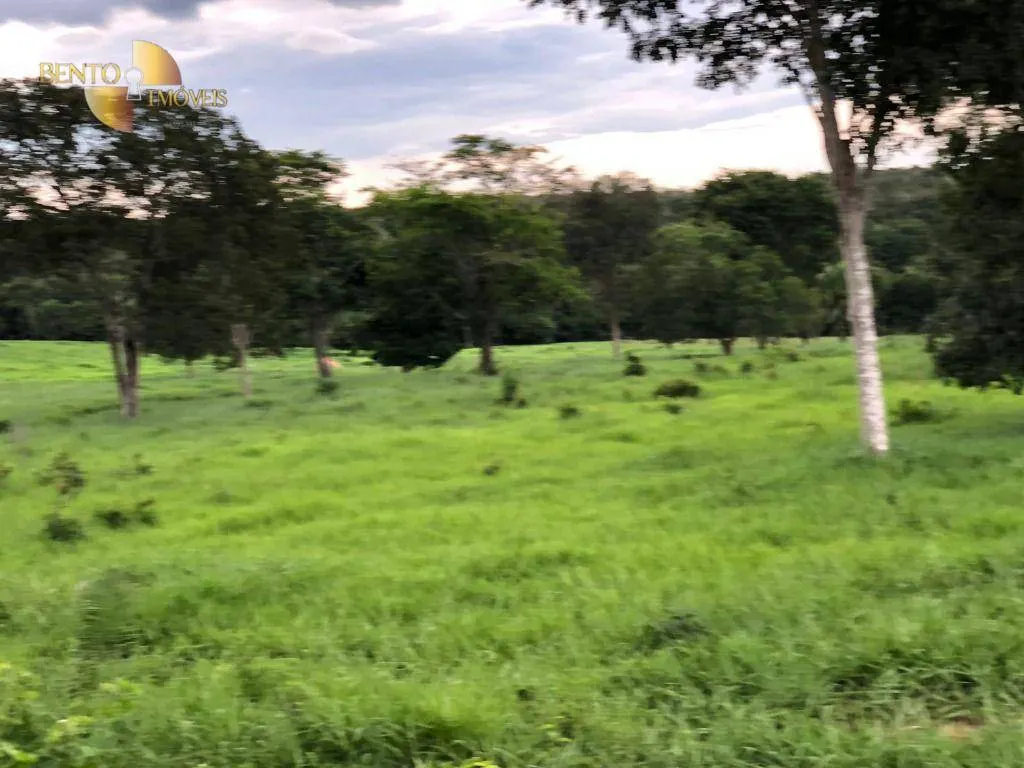 Fazenda à venda de 221 ha em Poxoréu, MT, Brasil