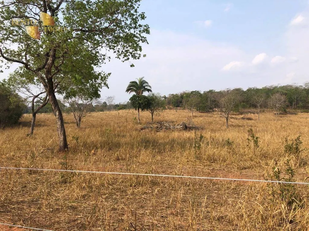Fazenda à venda de 221 ha em Poxoréu, MT, Brasil