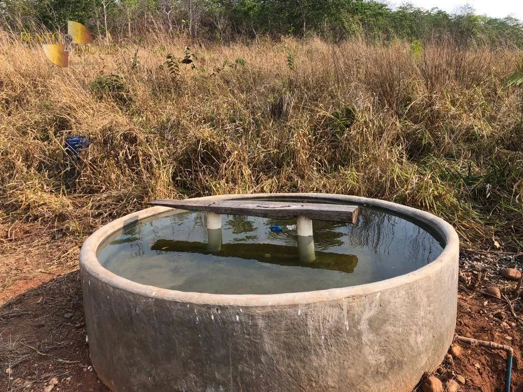 Fazenda à venda de 221 ha em Poxoréu, MT, Brasil