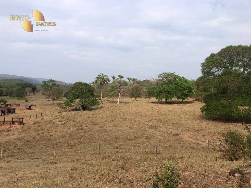 Fazenda à venda de 221 ha em Poxoréu, MT, Brasil