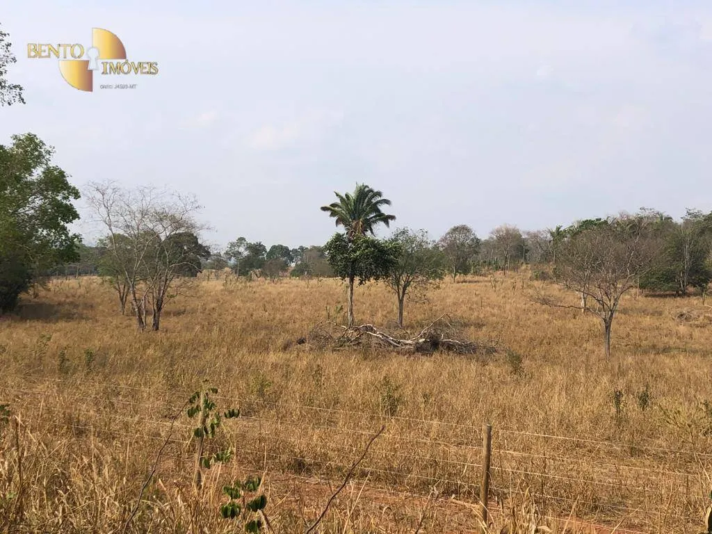 Fazenda à venda de 221 ha em Poxoréu, MT, Brasil