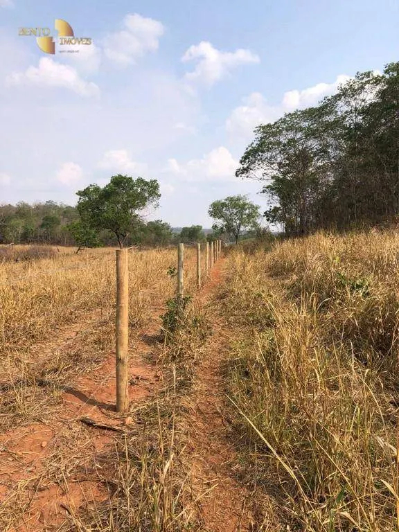 Fazenda à venda de 221 ha em Poxoréu, MT, Brasil