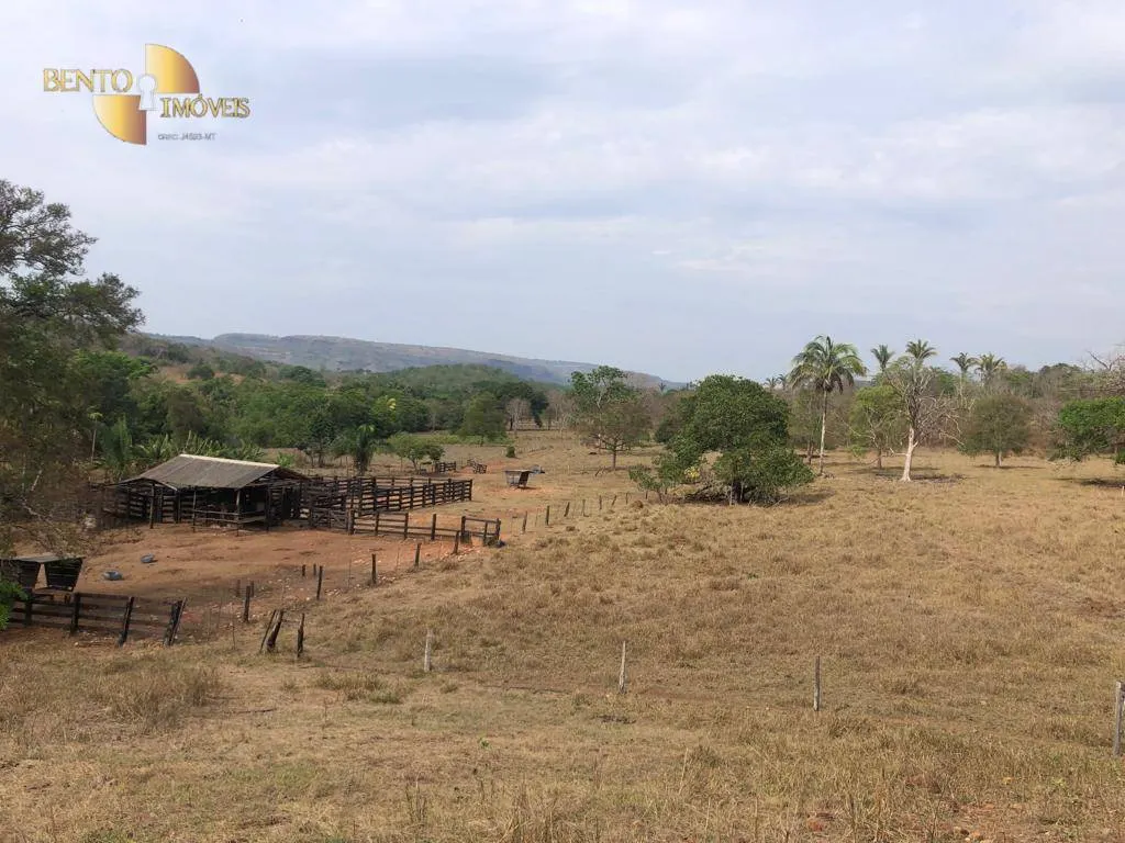Fazenda à venda de 221 ha em Poxoréu, MT, Brasil