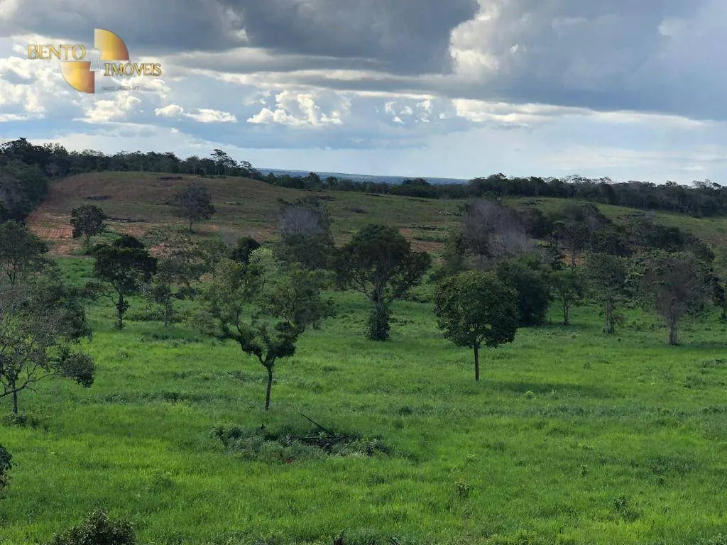 Fazenda à venda de 221 ha em Poxoréu, MT, Brasil
