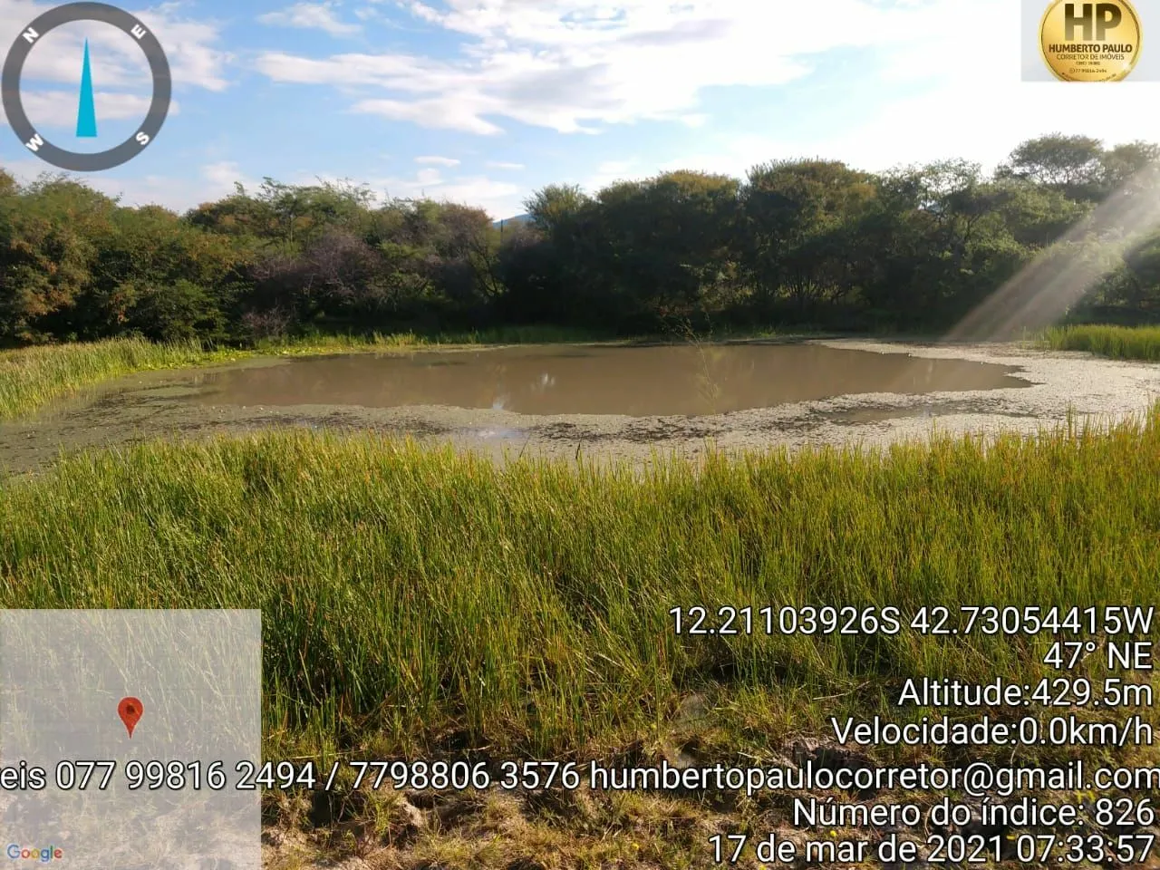 Fazenda à venda de 600 ha em Oliveira dos Brejinhos, BA, Brasil