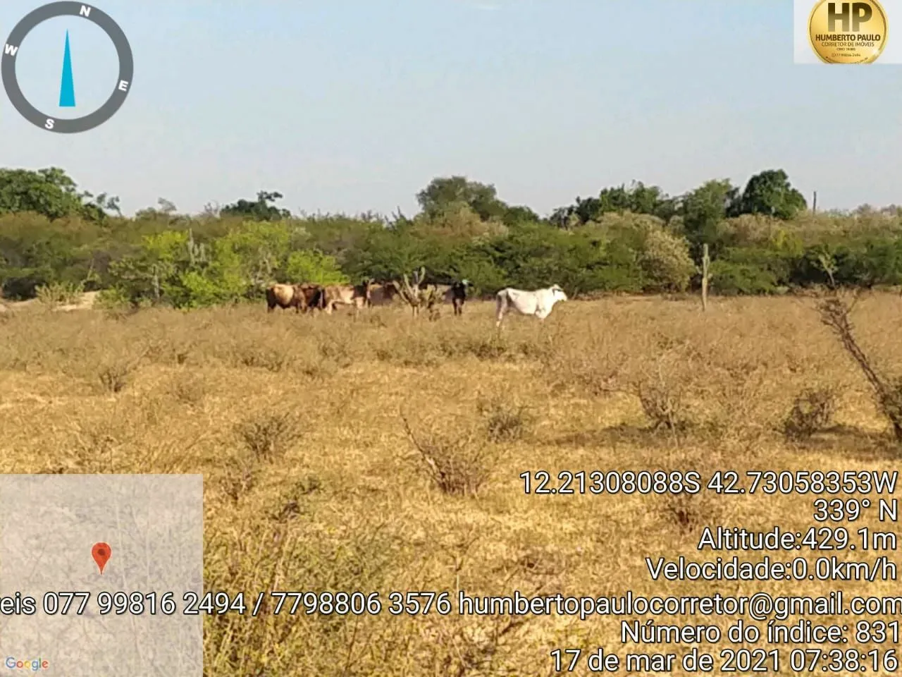 Fazenda à venda de 600 ha em Oliveira dos Brejinhos, BA, Brasil