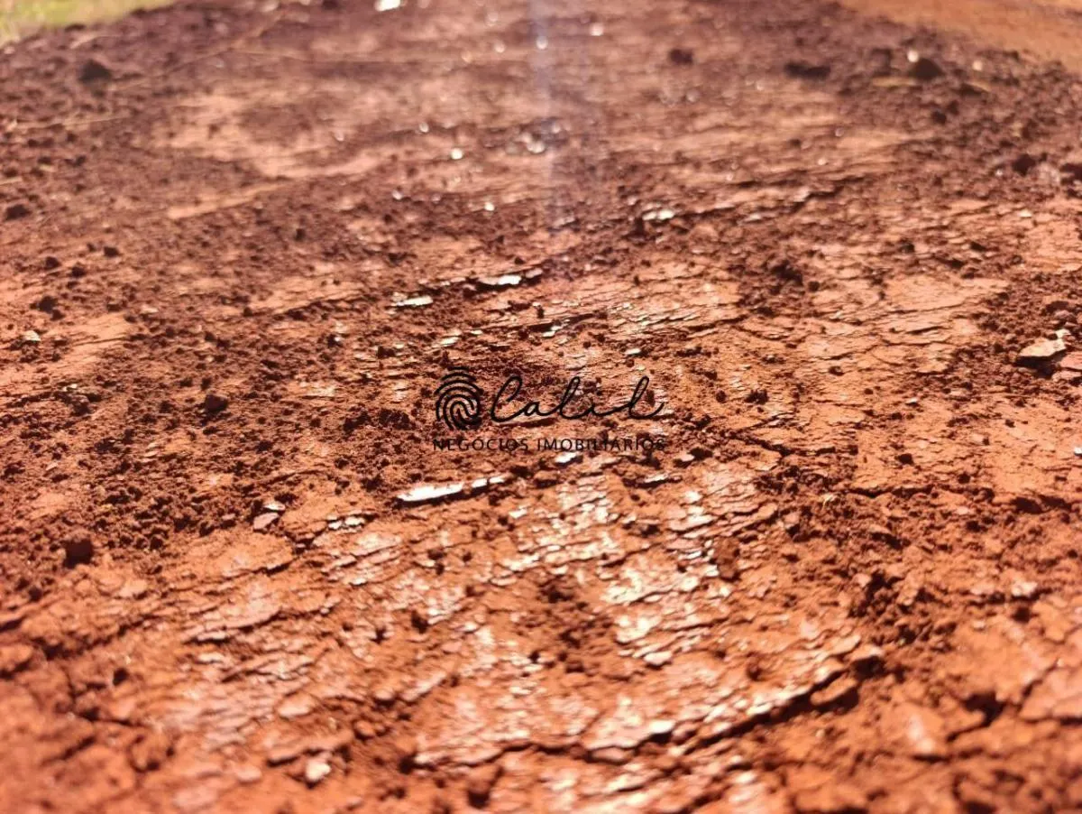Fazenda à venda de 77 ha em Brodowski, SP, Brasil