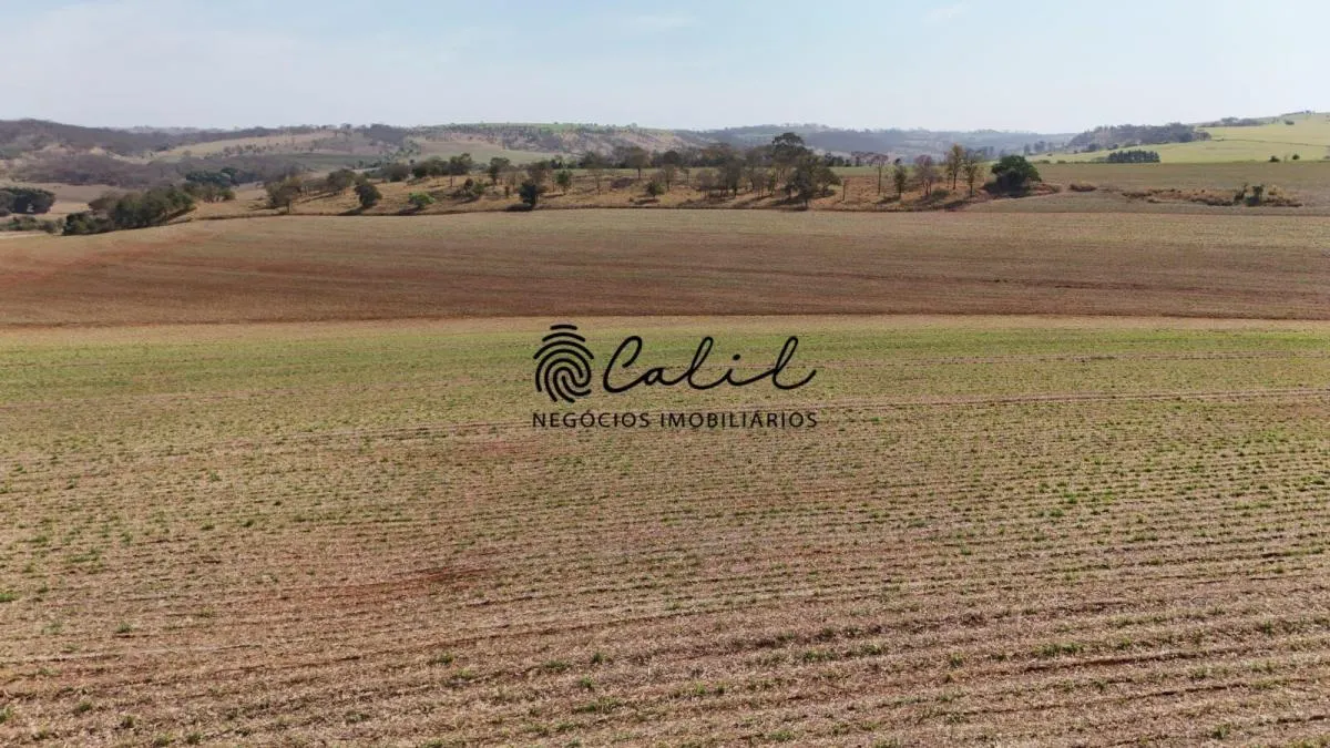 Fazenda à venda de 77 ha em Brodowski, SP, Brasil