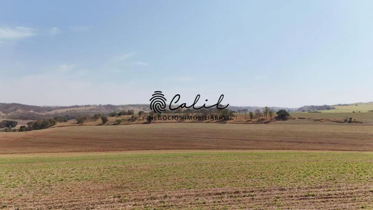 Fazenda à venda de 77 ha em Brodowski, SP, Brasil