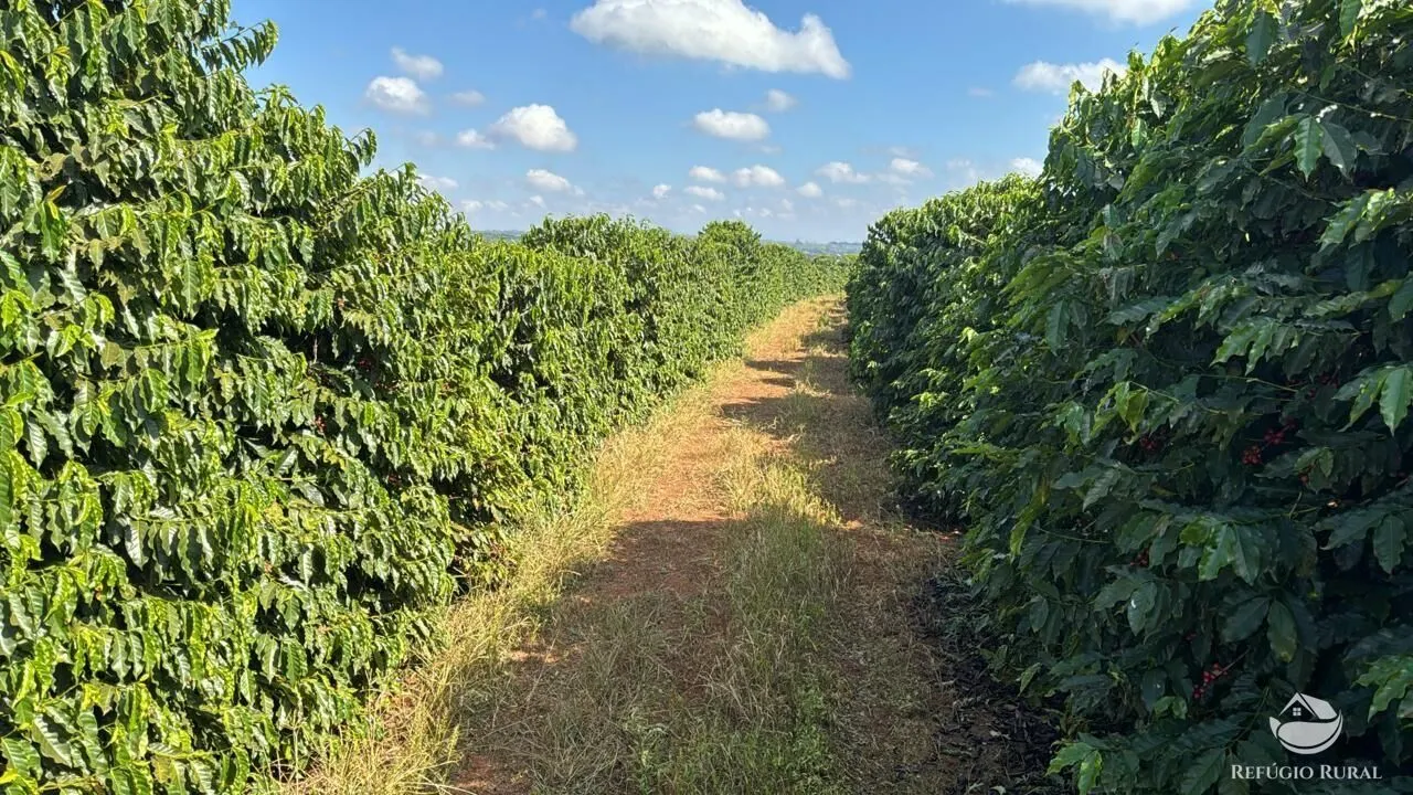 Fazenda à venda de 130 ha em Piumhi, MG, Brasil
