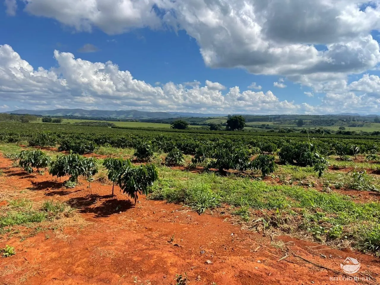 Fazenda à venda de 130 ha em Piumhi, MG, Brasil