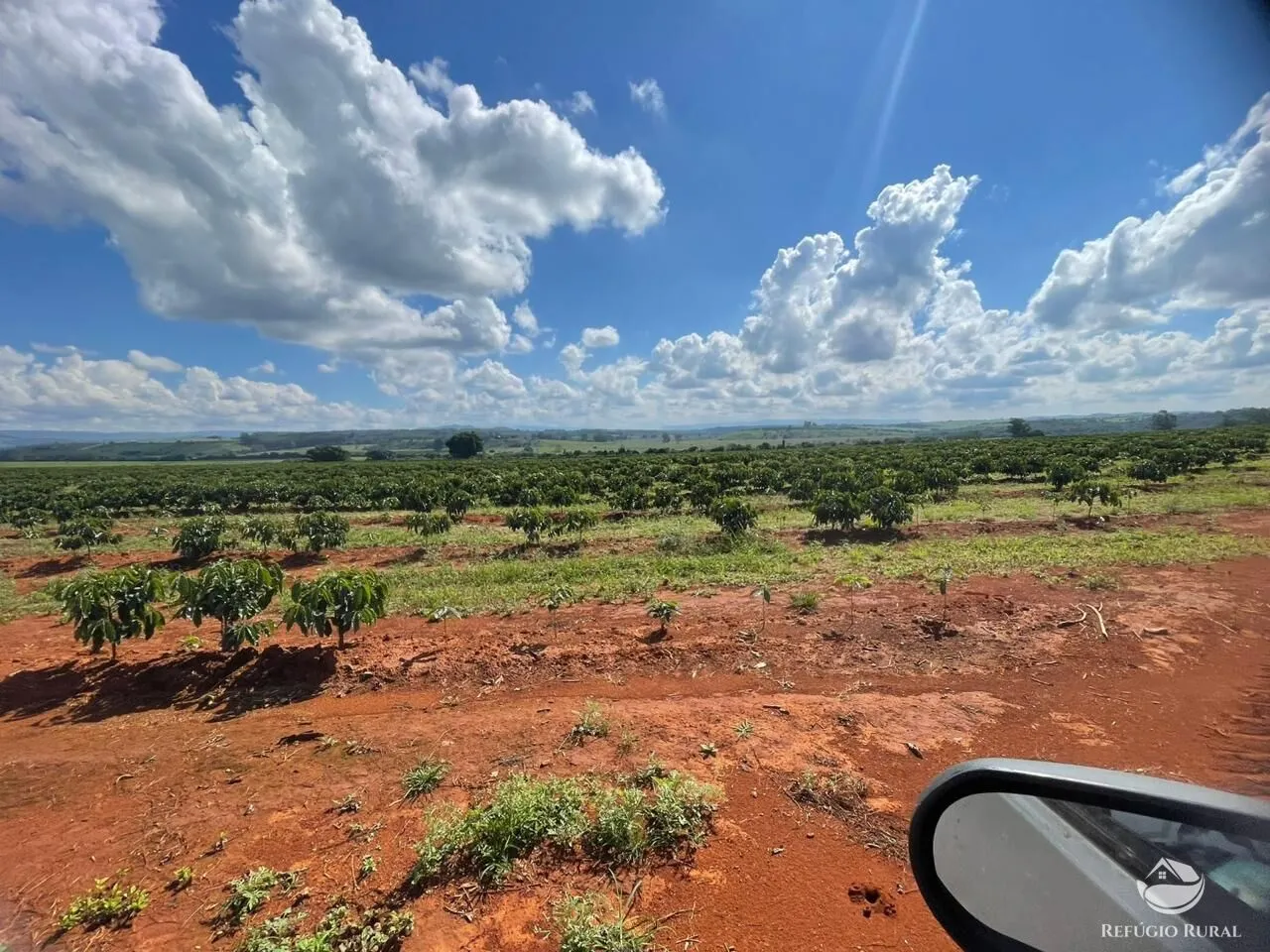 Fazenda à venda de 130 ha em Piumhi, MG, Brasil