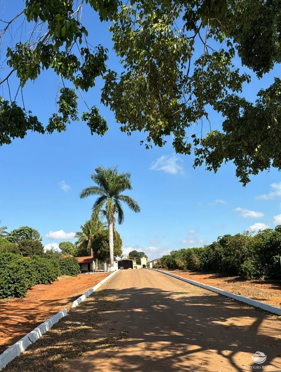 Fazenda à venda de 130 ha em Piumhi, MG, Brasil