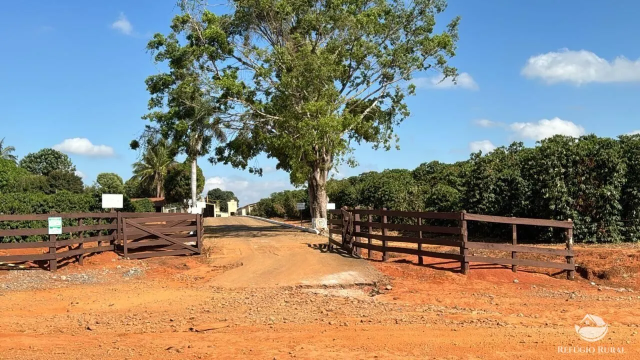 Fazenda à venda de 130 ha em Piumhi, MG, Brasil