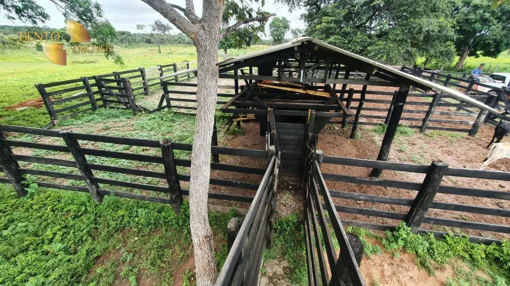 Fazenda à venda de 233 ha em Várzea Grande, MT, Brasil