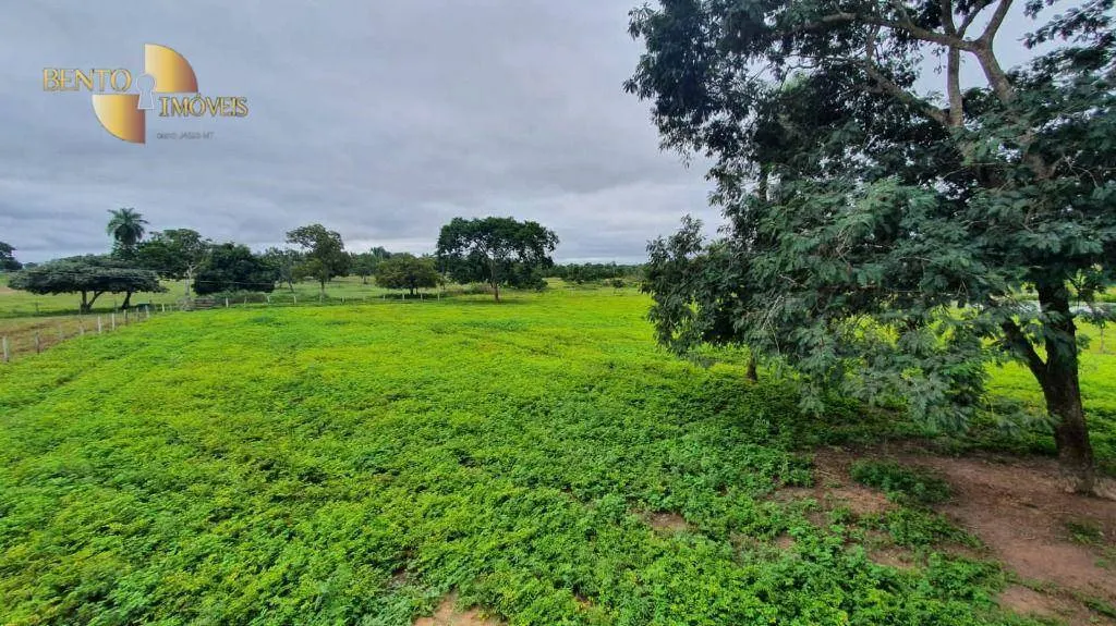 Fazenda à venda de 233 ha em Várzea Grande, MT, Brasil