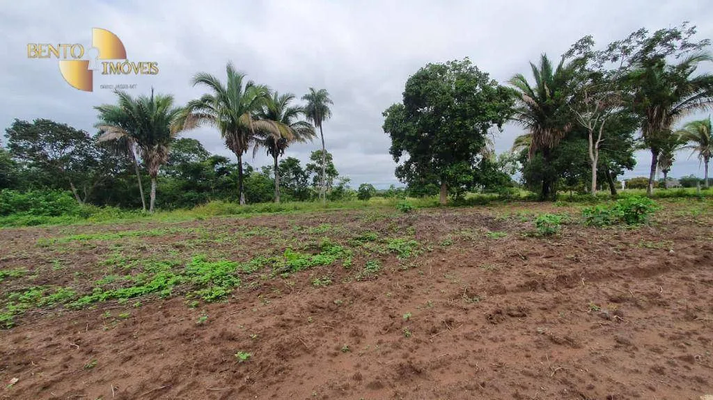 Fazenda à venda de 233 ha em Várzea Grande, MT, Brasil