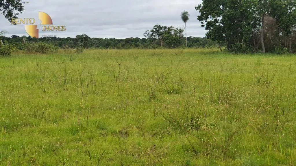 Fazenda à venda de 233 ha em Várzea Grande, MT, Brasil