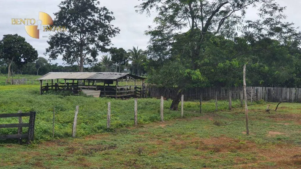 Fazenda à venda de 233 ha em Várzea Grande, MT, Brasil