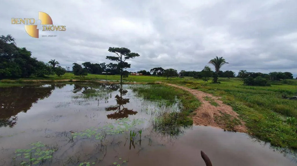 Fazenda à venda de 233 ha em Várzea Grande, MT, Brasil
