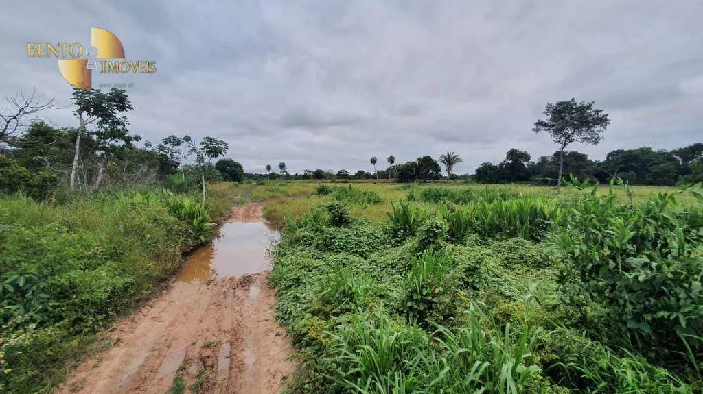 Fazenda à venda de 233 ha em Várzea Grande, MT, Brasil