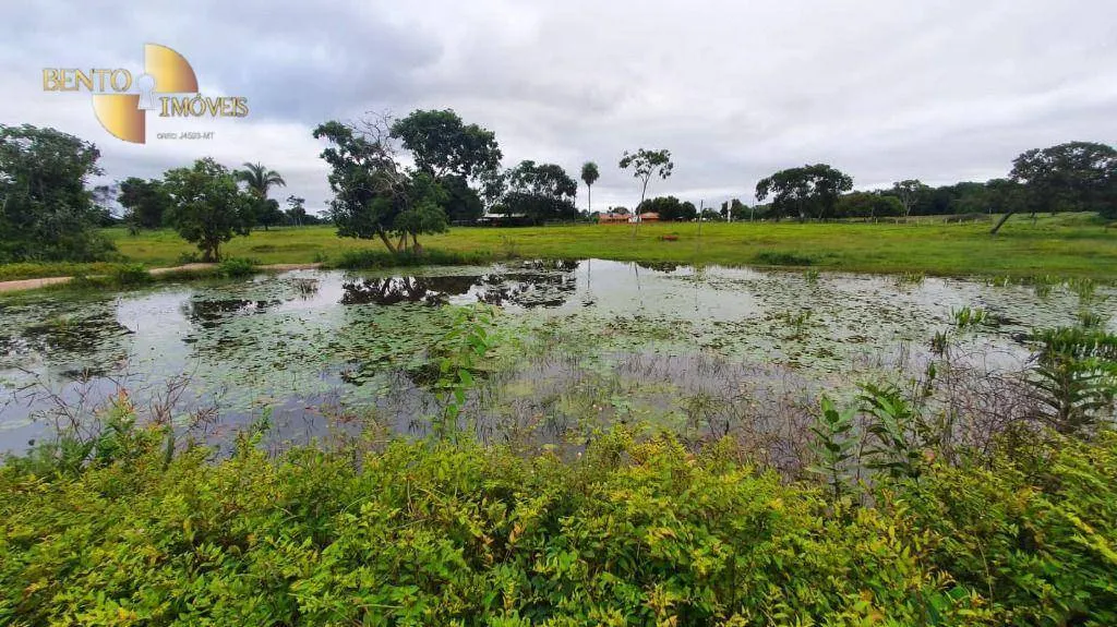 Fazenda à venda de 233 ha em Várzea Grande, MT, Brasil