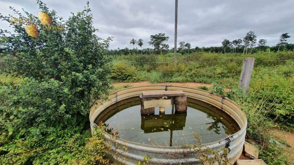 Fazenda à venda de 233 ha em Várzea Grande, MT, Brasil