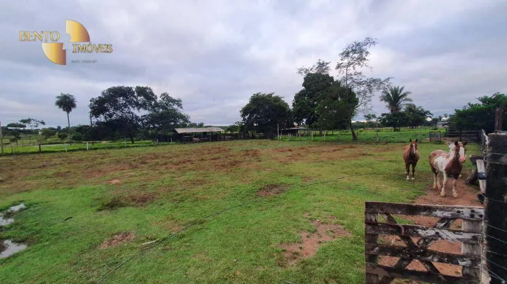 Fazenda à venda de 233 ha em Várzea Grande, MT, Brasil