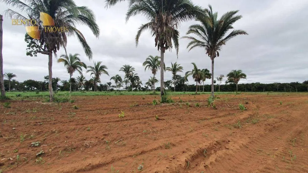 Fazenda à venda de 233 ha em Várzea Grande, MT, Brasil