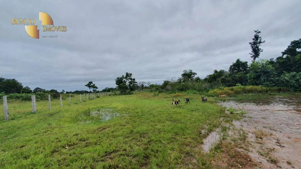 Fazenda à venda de 233 ha em Várzea Grande, MT, Brasil