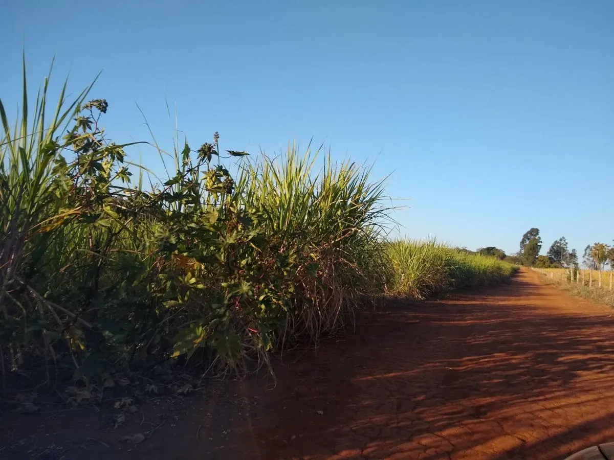 Fazenda à venda de 460 ha em Araraquara, SP, Brasil