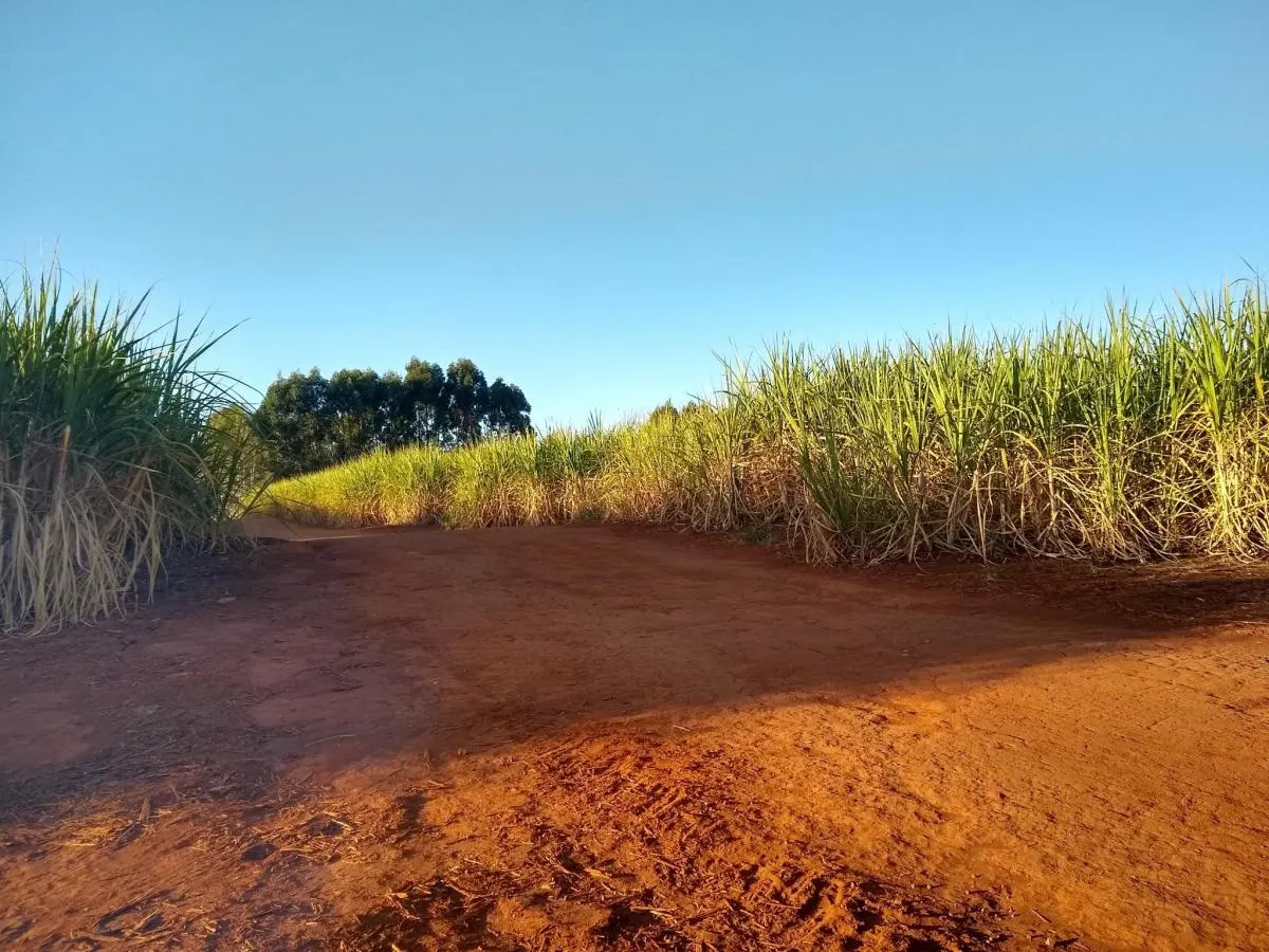 Fazenda à venda de 460 ha em Araraquara, SP, Brasil