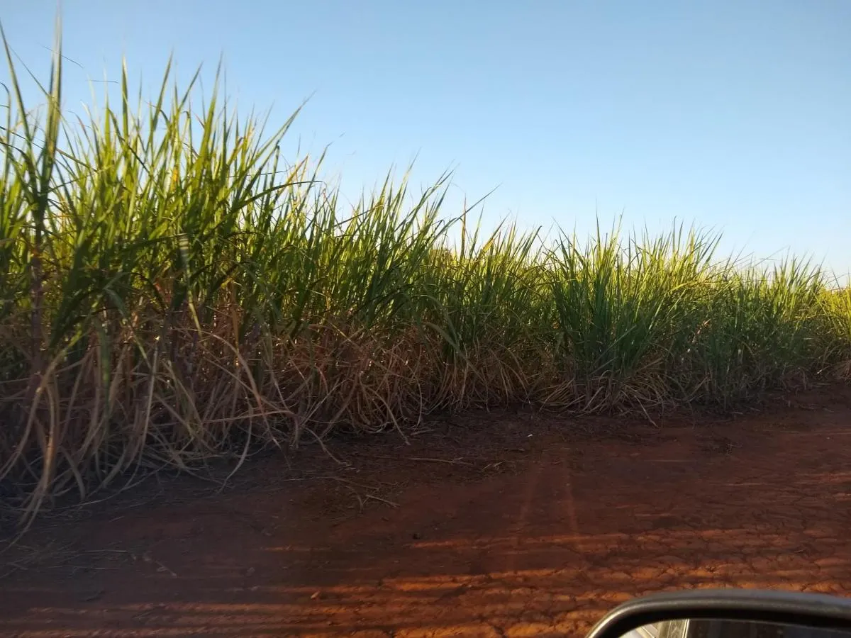 Fazenda à venda de 460 ha em Araraquara, SP, Brasil