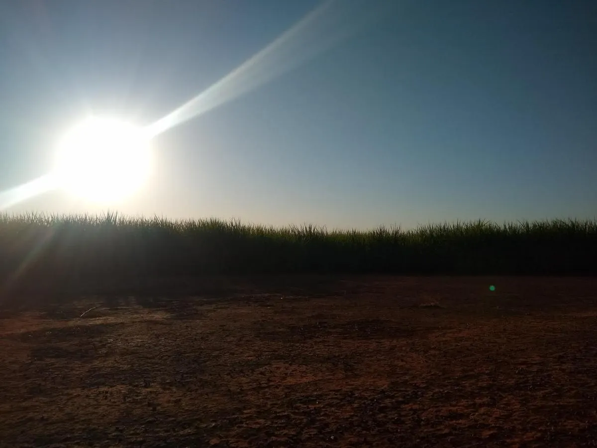 Fazenda à venda de 460 ha em Araraquara, SP, Brasil