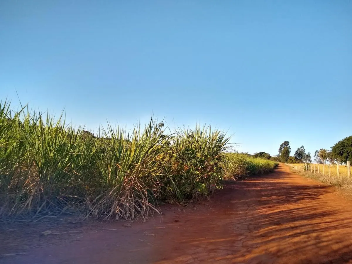Fazenda à venda de 460 ha em Araraquara, SP, Brasil